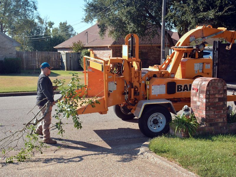 Finished tree removal job for a Greensboro homeowner