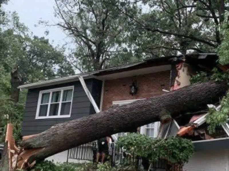 Tree removal job near Asheboro, NC