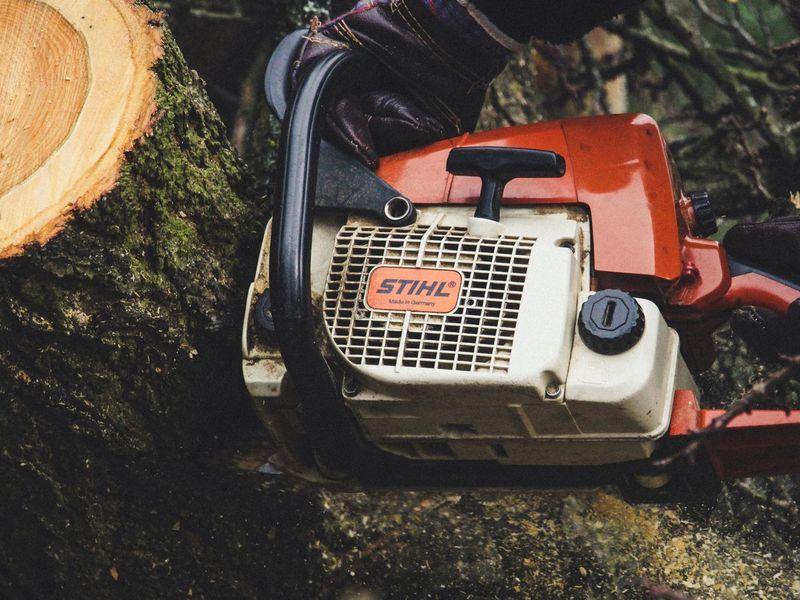 Tree removal job near Jamestown, NC
