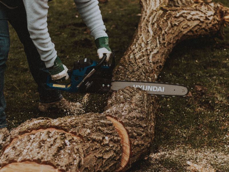 Tree removal job near Kernersville, NC