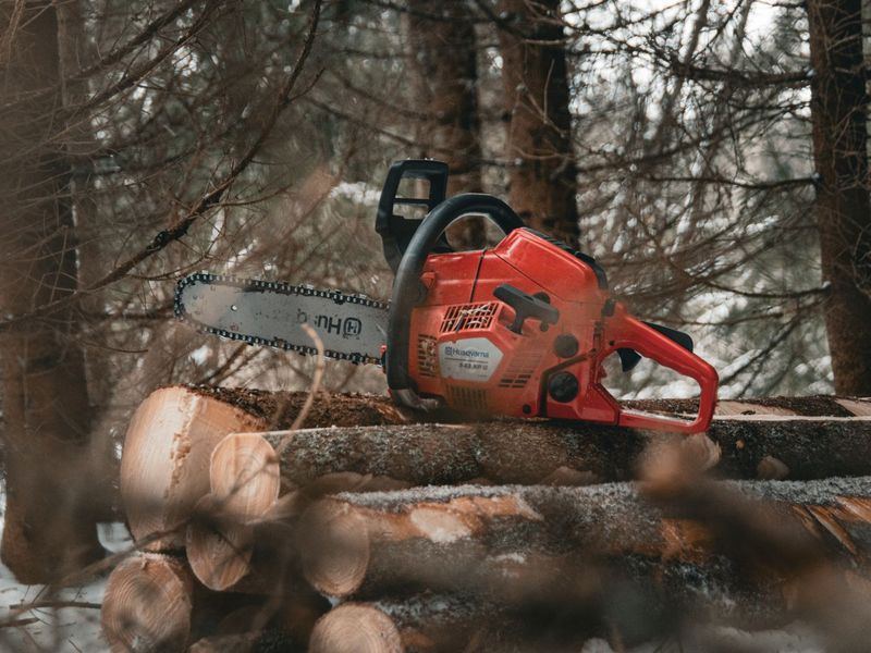 Tree removal job near McLeansville, NC