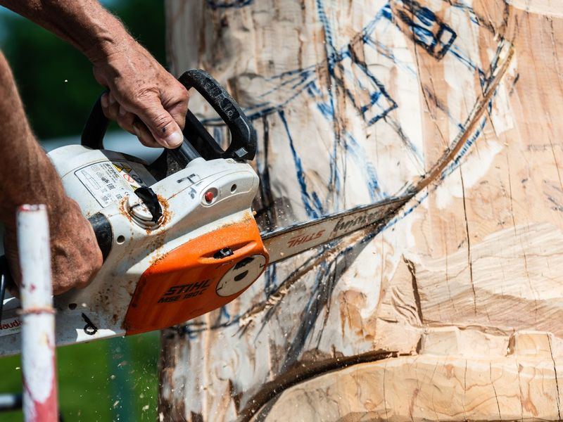 Tree removal job near Oak Ridge, NC