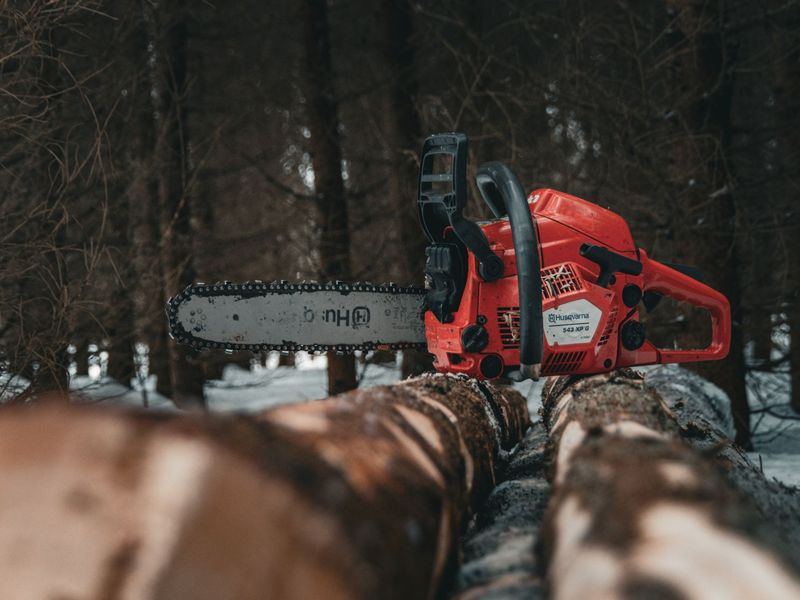 Tree removal job in the Sedgefield neighborhood of Greensboro