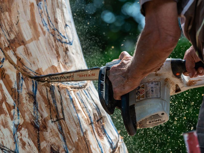 Tree removal job near Summerfield, NC