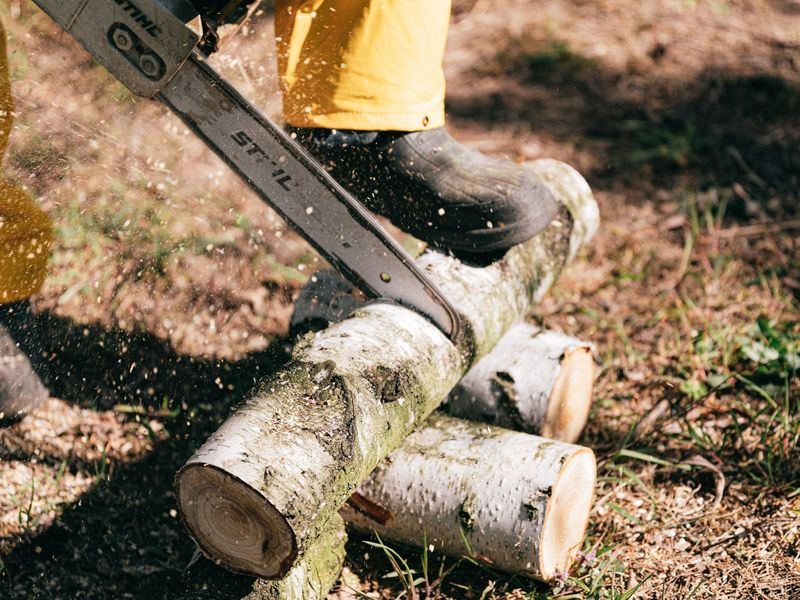 Tree removal job near Trinity, NC
